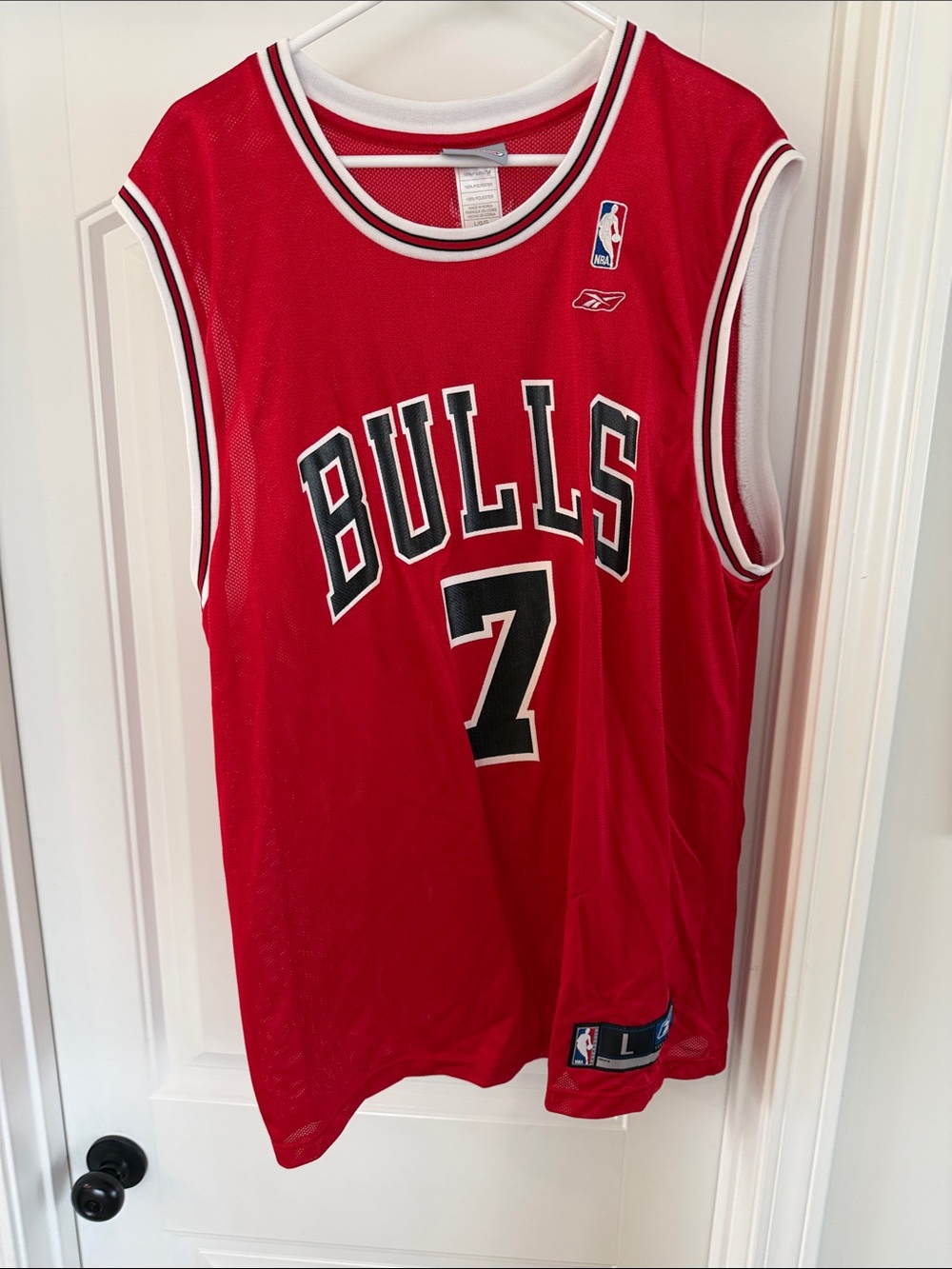 Ben Gordon Bulls Jersey